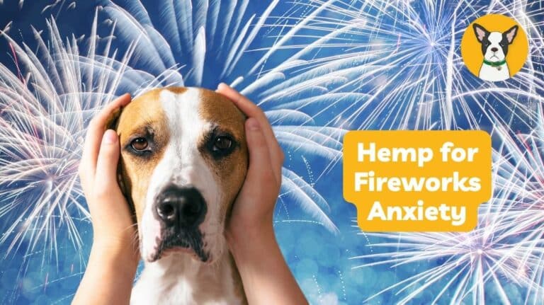 hemp for dogs fireworks anxiety