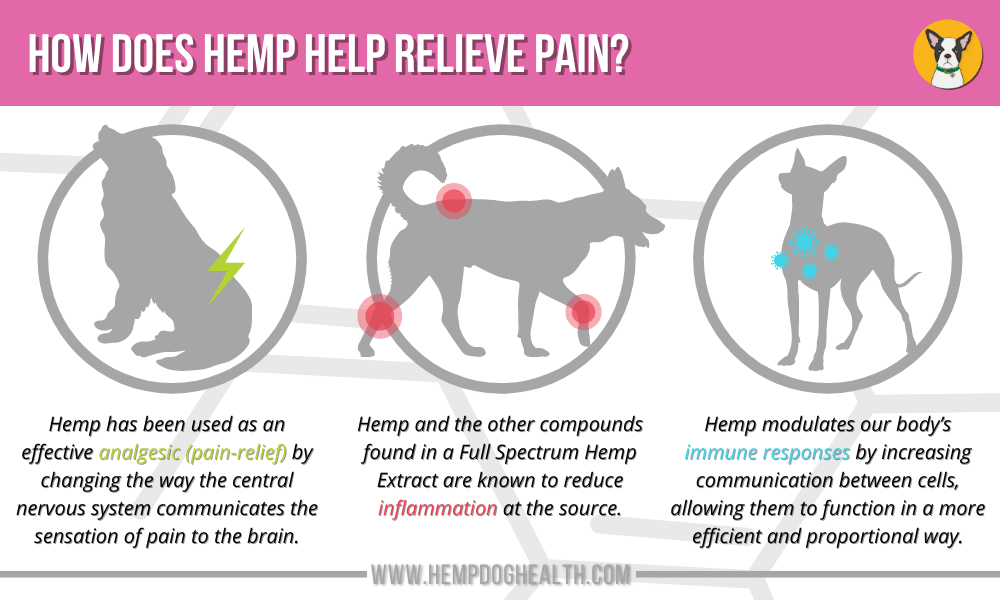 How Hemp Helps Pain