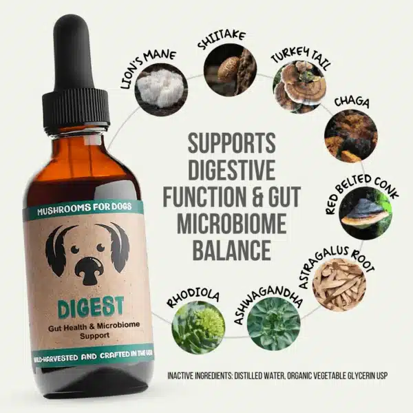 MycoDog Digest: Digestive Health - Image 2