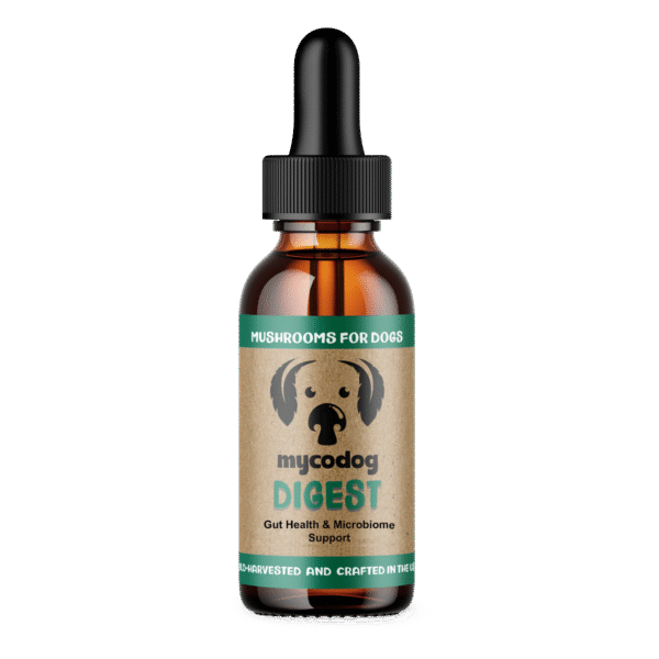 MycoDog Digest: Digestive Health